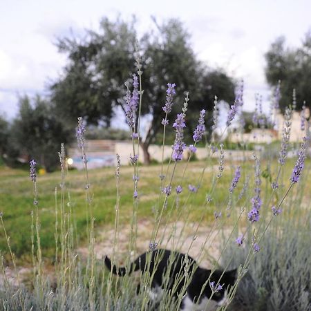 Kivotos Villa Private Pool Μαρουλάς Εξωτερικό φωτογραφία